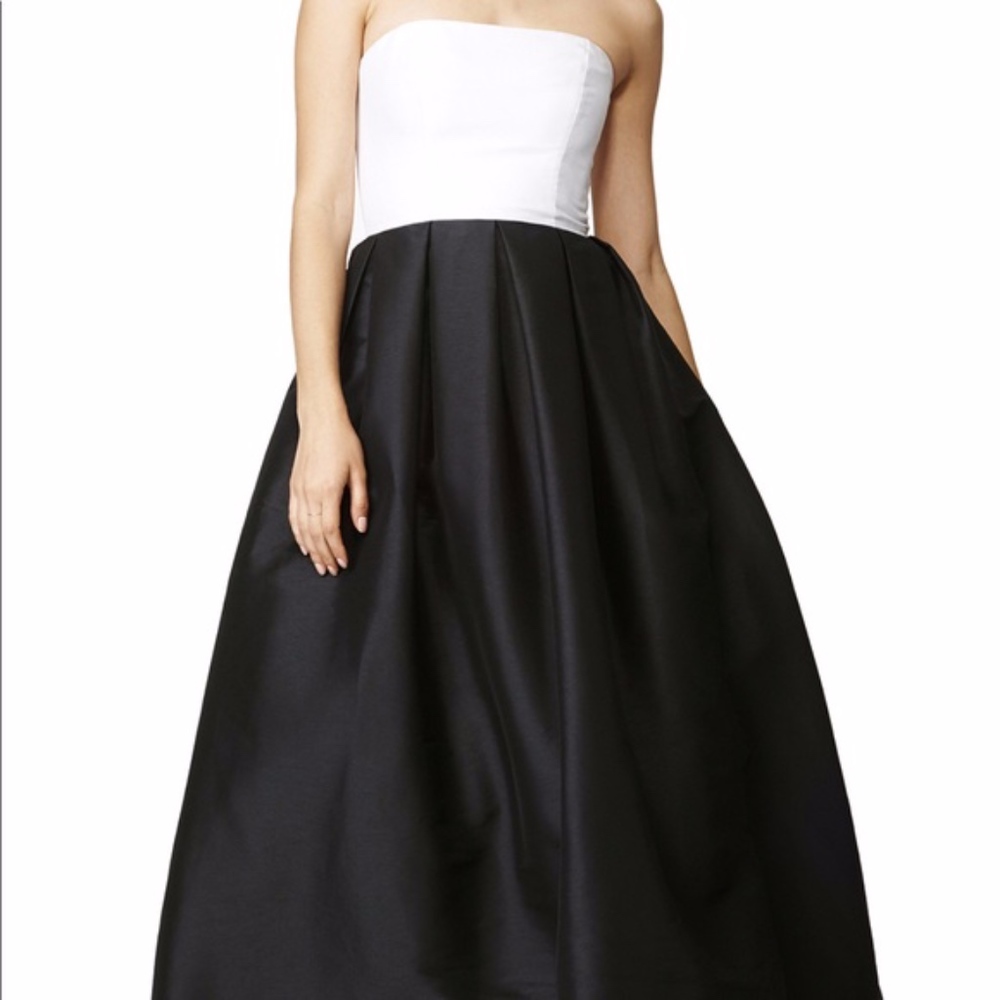 Monique Lhuillier Gala Formal Dress SHOW STOPPER